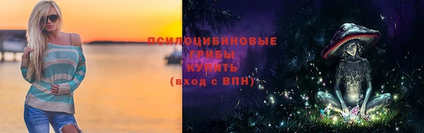 a pvp Зеленодольск