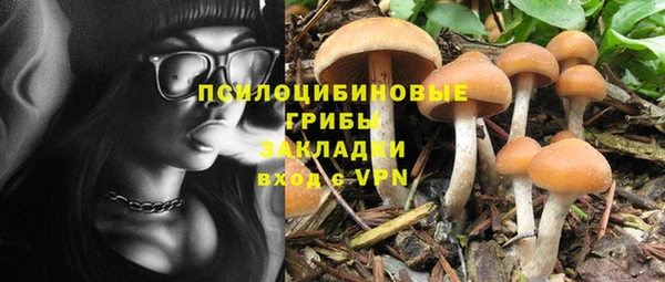 a pvp Зеленодольск