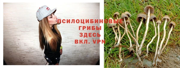 a pvp Зеленодольск