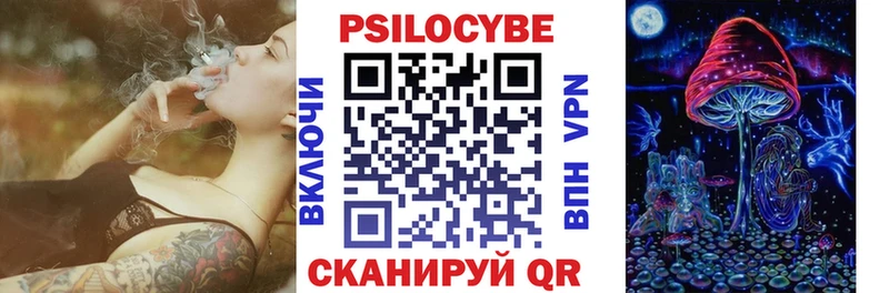 купить закладку  Среднеуральск  Псилоцибиновые грибы Psilocybine cubensis 