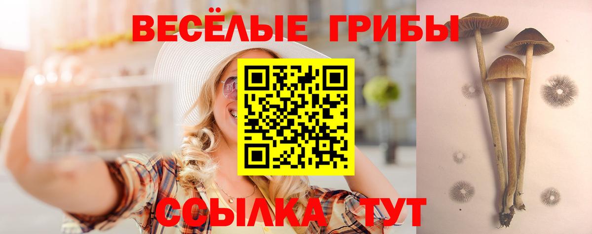 Псилоцибиновые грибы мухоморы Среднеуральск