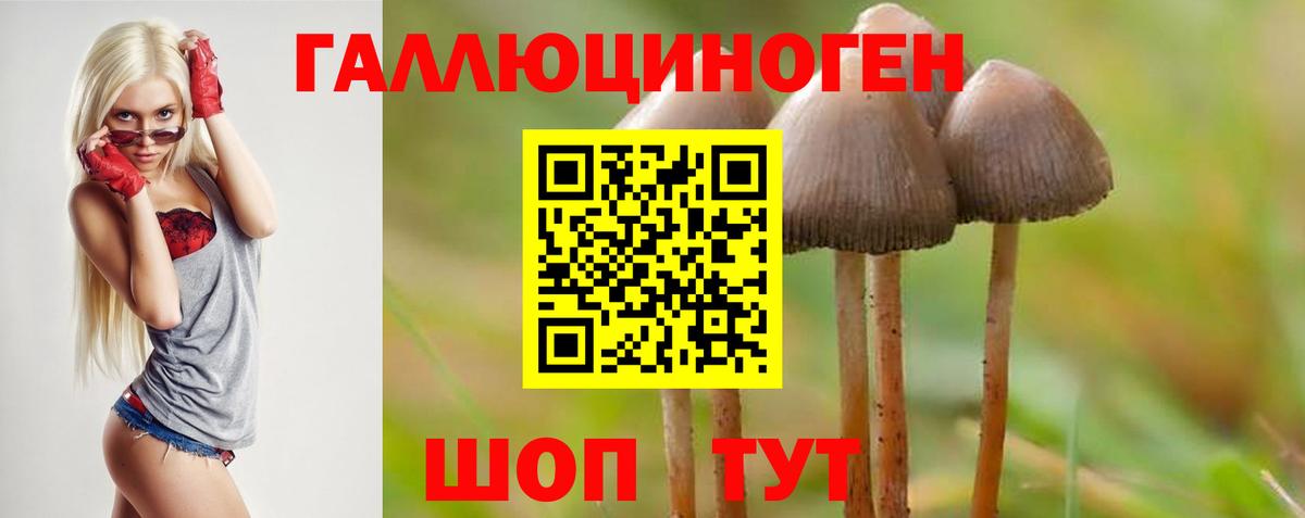 Среднеуральск  Псилоцибиновые грибы Cubensis  что такое   Вход с VPN 